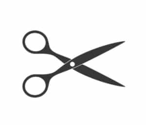 Salon-300x257